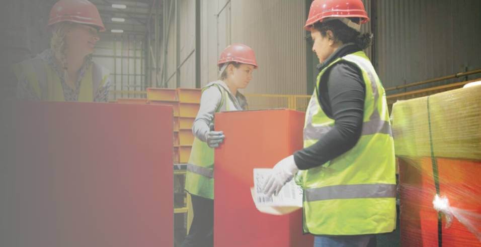 Manual Handling Courses